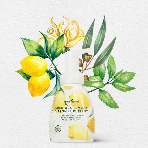 Die 7 Lieblingsanwendungen mit Lushious Lemon